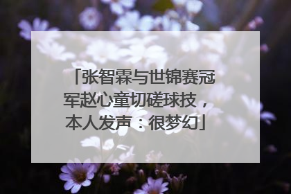 张智霖与世锦赛冠军赵心童切磋球技，本人发声：很梦幻