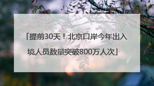 提前30天！北京口岸今年出入境人员数量突破800万人次