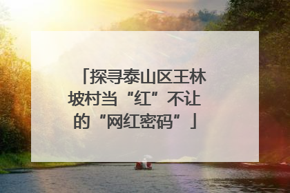 探寻泰山区王林坡村当“红”不让的“网红密码”