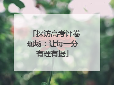 探访高考评卷现场：让每一分有理有据