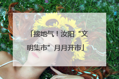 接地气！汝阳“文明集市”月月开市