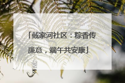 戴家河社区：粽香传廉意，端午共安康
