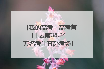 我的高考｜高考首日 云南38.24万名考生奔赴考场