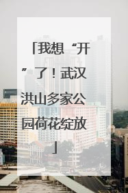 我想“开”了！武汉洪山多家公园荷花绽放