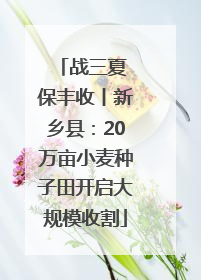 战三夏 保丰收丨新乡县：20万亩小麦种子田开启大规模收割