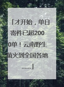 才开始，单日寄件已超2000单！云南野生菌火到全国各地……