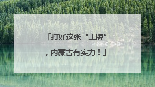 打好这张“王牌”，内蒙古有实力！