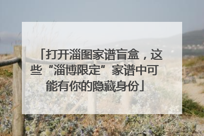 打开淄图家谱盲盒，这些“淄博限定”家谱中可能有你的隐藏身份