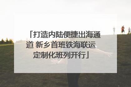 打造内陆便捷出海通道 新乡首班铁海联运定制化班列开行