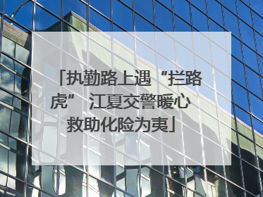 执勤路上遇“拦路虎” 江夏交警暖心救助化险为夷