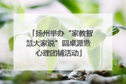 扬州举办“家教智慧大家说”圆桌派暨心理团辅活动