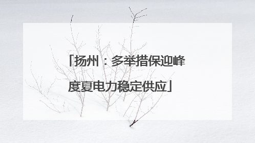 扬州：多举措保迎峰度夏电力稳定供应