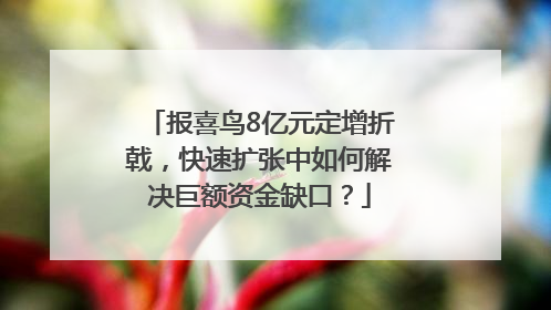 报喜鸟8亿元定增折戟，快速扩张中如何解决巨额资金缺口？