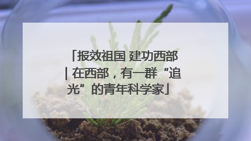 报效祖国 建功西部｜在西部，有一群“追光”的青年科学家
