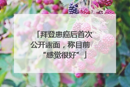 拜登患癌后首次公开露面，称目前“感觉很好”