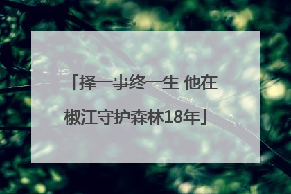择一事终一生 他在椒江守护森林18年