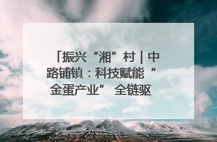 振兴“湘”村｜中路铺镇：科技赋能“金蛋产业” 全链驱动乡村振兴