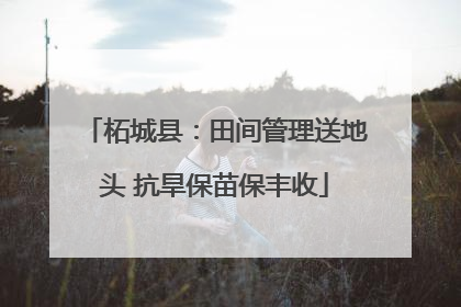 柘城县：田间管理送地头 抗旱保苗保丰收