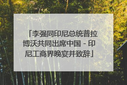李强同印尼总统普拉博沃共同出席中国－印尼工商界晚宴并致辞