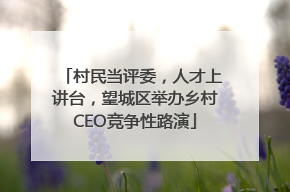 村民当评委，人才上讲台，望城区举办乡村CEO竞争性路演