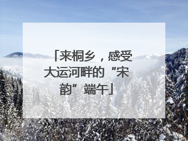 来桐乡，感受大运河畔的“宋韵”端午