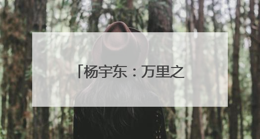 杨宇东：万里之外的灯光｜序言