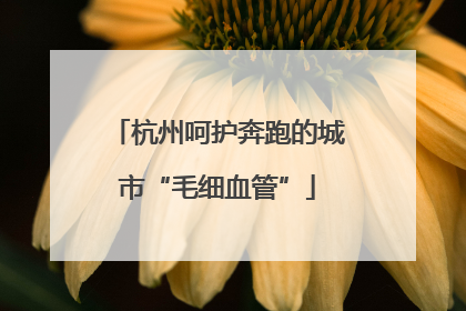 杭州呵护奔跑的城市“毛细血管”