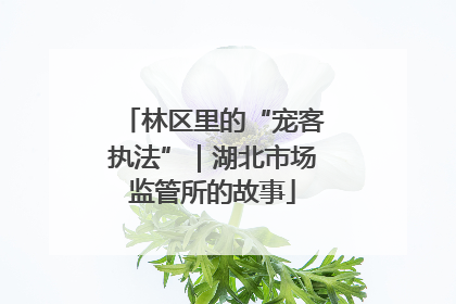 林区里的“宠客执法”｜湖北市场监管所的故事