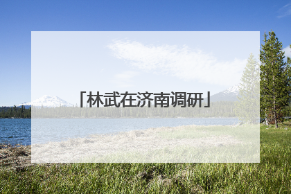 林武在济南调研