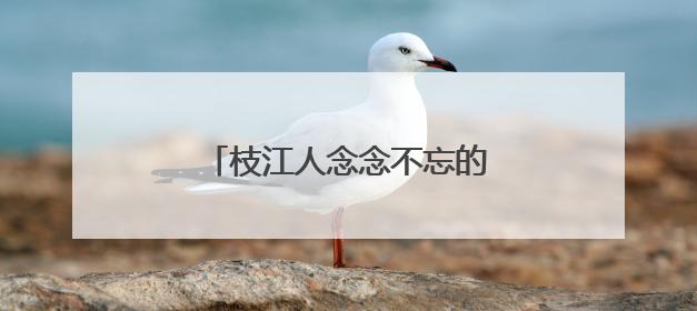 枝江人念念不忘的这一口，好吃！