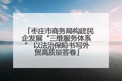 枣庄市商务局构建民企发展“三维服务体系” 以法治保障书写外贸高质量答卷