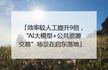 效率较人工提升9倍，“AI大模型+公共资源交易”场景在启东落地