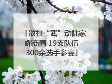 散打“武”动陆家嘴商圈 19支队伍300余选手参赛