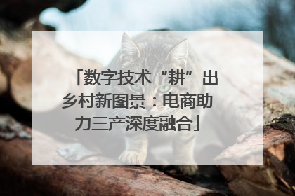 数字技术“耕”出乡村新图景：电商助力三产深度融合