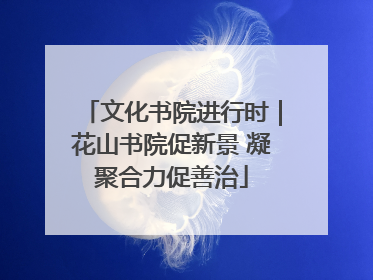 文化书院进行时｜花山书院促新景 凝聚合力促善治