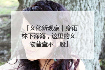 文化新观察｜穿雨林下深海，这里的文物普查不一般