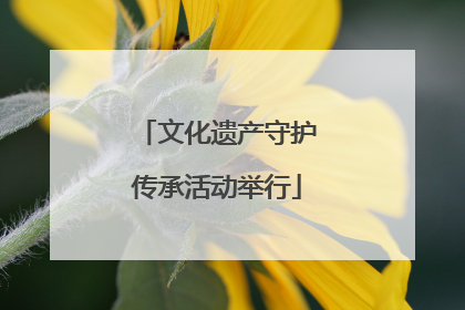 文化遗产守护传承活动举行
