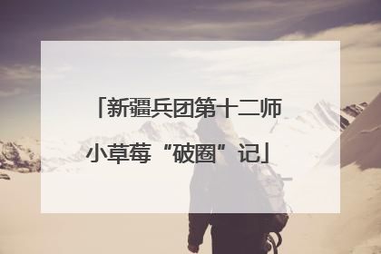 新疆兵团第十二师小草莓“破圈”记