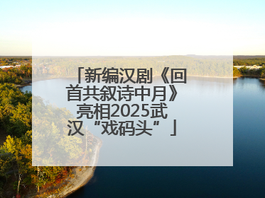 新编汉剧《回首共叙诗中月》亮相2025武汉“戏码头”
