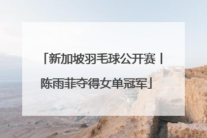 新加坡羽毛球公开赛丨陈雨菲夺得女单冠军