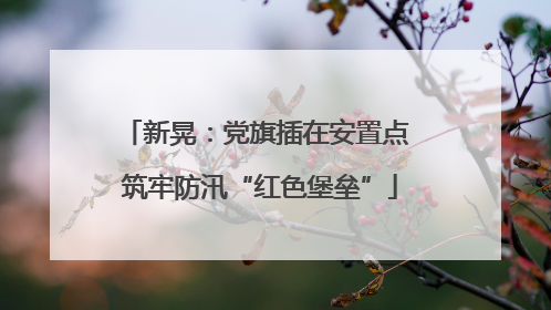 新晃：党旗插在安置点 筑牢防汛“红色堡垒”