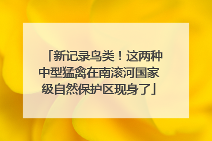 新记录鸟类！这两种中型猛禽在南滚河国家级自然保护区现身了