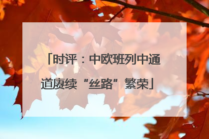 时评：中欧班列中通道赓续“丝路”繁荣