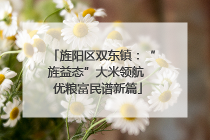 旌阳区双东镇：“旌益态”大米领航 优粮富民谱新篇