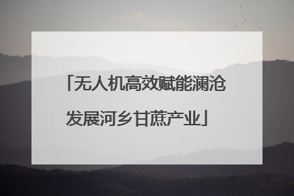 无人机高效赋能澜沧发展河乡甘蔗产业