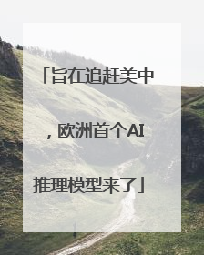旨在追赶美中，欧洲首个AI推理模型来了