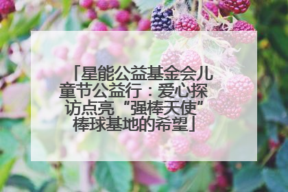 星能公益基金会儿童节公益行：爱心探访点亮“强棒天使”棒球基地的希望