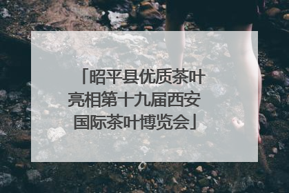 昭平县优质茶叶亮相第十九届西安国际茶叶博览会