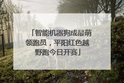 智能机器狗成最萌领跑员，平阳红色越野跑今日开赛