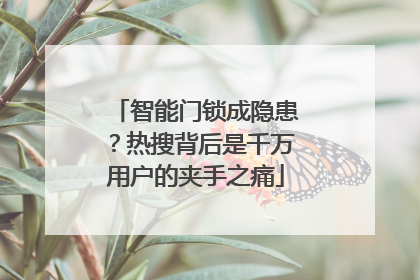 智能门锁成隐患？热搜背后是千万用户的夹手之痛